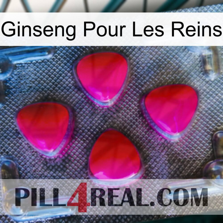 Ginseng For Kidney 13